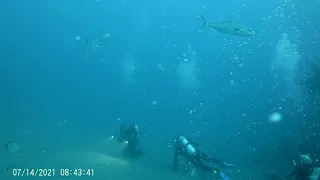 Caribsea Wreck Part1