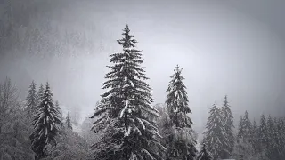 Peaceful Christmas Music | Relax, Calm, Instrumental