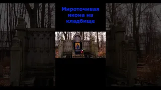 Мироточивая икона на кладбище #shorts #православие #христианство