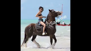 Rating Celebrities Riding Horses! Ft. Rey and Princess