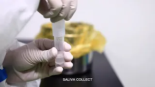 how to use saliva rapid test kits