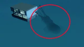 5 Mysterious Gigantic Creatures Accidentally Caught On Camera