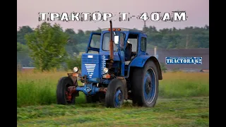 Трактор Т-40АМ с роторной косилкой