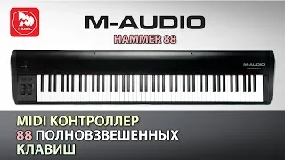 MIDI-клавиатура M-Audio Hammer 88 ( молоточковая клавиатура)