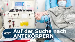 COVID-19 GEHEIMWAFFE?: So könnte Blutplasma-Therapien schwererkrankten Corona-Patienten helfen