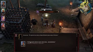 110. Divinity Original Sin 2 охотник на чудовищ