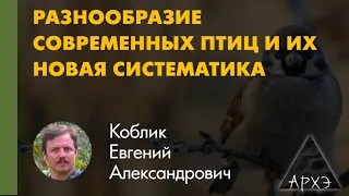 Евгений Коблик: "От Линнея, через ухабы молекулярки к признанию близкими родственниками кур и уток"