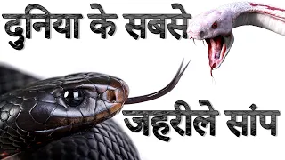 दुनिया के 5 सबसे जेहरीले साँप  || Top 5 Venomous Snake In The World || Venomous Snake