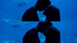 After movie: the entire aquarium scene / hero tiffin fiennes / josephine langford / Tessa / Hardin