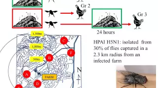 Dr. Jean-Pierre Vaillancourt - Can You Keep High Path Avian Influenza from Entering Your Operation?