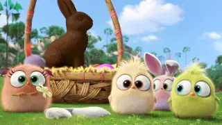 Angry Birds Movie Hatchlings Easter Greeting