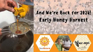 March 2024 Bee Natural and Bee Api Dominica Beekeeping