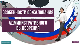 Особенности обжалования административного выдворения