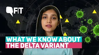 Explained | What is the Delta and Delta Plus Variant? How Does it Impact Vaccines? | The Quint