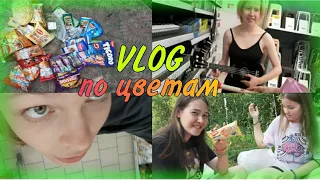 Пикник по цветам🌈VLOG