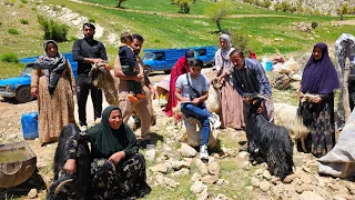 Amazing deal of Javad sheep for Mr. Nemat🐏🐑🐐🦮