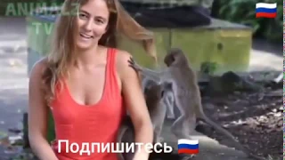 Приколы с животными 😂💯