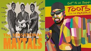 Toots and the Maytals Greatest Hits 🍓 Best Of Toots and the Maytals 🍓 Toots and the Maytals Live