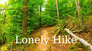 Lonely Hike In Forest | 4K | ASMR | Nature Trail | Relax Walking | Pure Sounds Of Walk | Slow TV