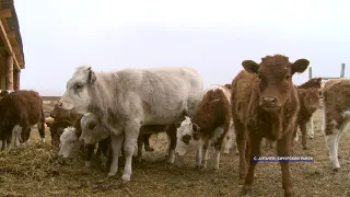 В Бурятии «поднимают с колен» бывшие колхозы