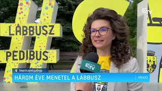 Három éve menetel a lábbusz – Erdélyi Magyar Televízió