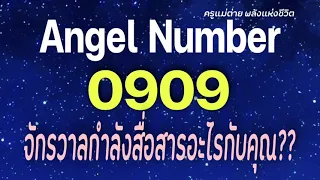 Angel Number 0909 จักรวาลกำลังสื่อสารอะไรกับคุณ|สัญญาณทูตสวรรค์|ตัวเลขซ้ำ|ครูแม่ต่าย พลังแห่งชีวิต