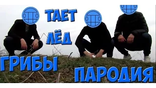 ГРИБЫ - ТАЕТ ЛЕД (ТИПО ГРИБЫ)