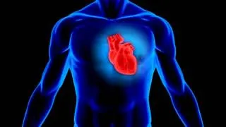 Программа для нормализации работы сердца и СС системы