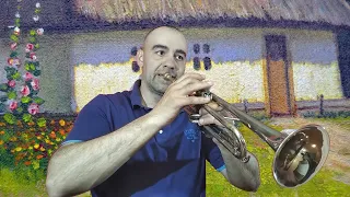 Чорнобривці. Музика Володимира Верменича. Trumpet Cover.