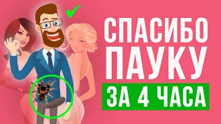 8 самых необычных пауков в мире