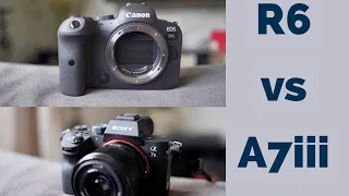 Sony A7iii vs Canon R6 | For Video