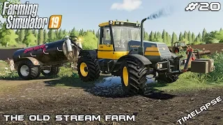 Spreading manure & slurry | Animals on The Old Stream Farm | Farming Simulator 19 | Episode 20