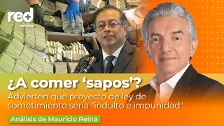 La riqueza que le dejaría a los narcos el proyecto de ley de sometimiento de Petro | Red+