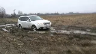 Subaru forester 2010 mud