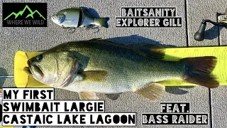 SMASHED on the Swimbait - Castaic Lake Lagoon with BASS RAIDER