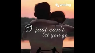 Can't Let Go (新鸳鸯蝴蝶梦英文版)