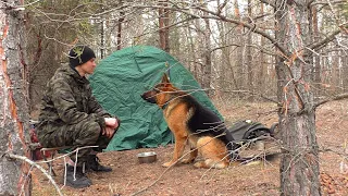 Идем жить в лес! Собираем березовый сок. 24 часа в дикой природе