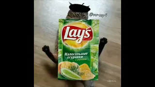 КОТИК ДЕРЖИТ Lay's МАЛОСОЛЬНЫЕ ОГУРЧИКИ