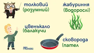 Діалекти  Говір  Наріччя