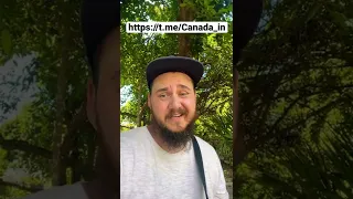 Все в телеграмм. https://t.me/Canada_in