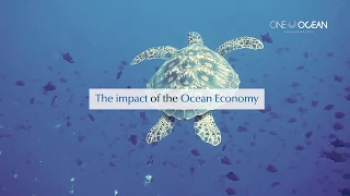 The impact of the Ocean Economy