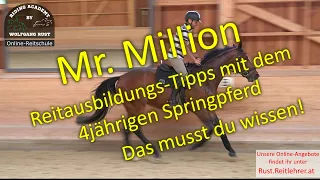 Mr.  Million 1: Vorstellung, viele Tipps und Fehler, Anreiten und Ausbilden junger Pferde lernen.