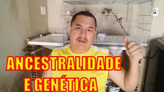 GENÉTICA E ANCESTRALIDADE