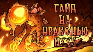 ГАЙД НА ДРАКОНЬЮ МУХУ |  Don't Starve Together