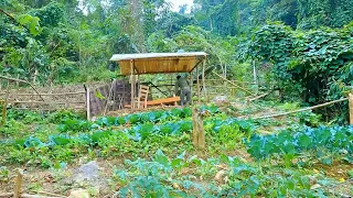 300 days of designing and building shelters in the wilderness - How to build a LOG CABIN | Ep.71