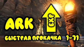 ARK Survival Evolved самая быстрая прокачка персонажа за 10 минут, гайд для новичков.