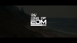 Irina Rimes - N-avem timp (RL White Remix) [Bass Boosted] | King Of EDM