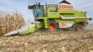 Žetva kukuruza 2020 Claas Mega 204 Corn harwest