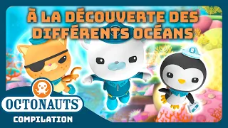 Octonauts - 🤿🐠  À la découverte des différents océans 🪸🌊 | Compilation | Dessins animés pour enfants