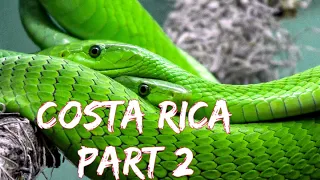 COSTA RICA IN (4K 60fps) HDR - ULTRA HD - Nature Videos